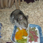 カボチャを食べるユウキ