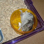 なかなか起き上がれないユウキ