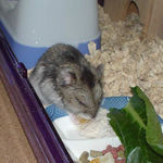 乾燥フルーツを食べるユウキ