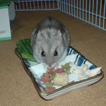 乾燥フルーツを食べるコーキ