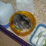 バナナチップを食べるユウキ