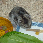 ミートジャーキーをつまむユウキ