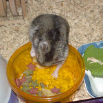 エサ入れに入ろうとするユウキ