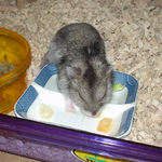 乾燥フルーツを食べるユウキ