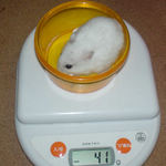 アイも体重増えました