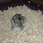 ペタっと座っているユウキ