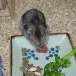 乾燥イチゴを食べるユウキ