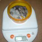 ユウキは体重減少