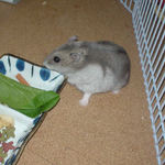 サークル内で大慌て