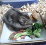 ペレット団子を食べるユウキ