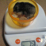 ユウキはさらに体重減少