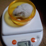 アイは、体重変わらず