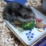 ブロッコリーを食べるユウキ