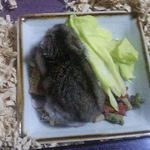 エサ皿に乗るユウキ