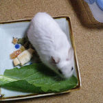 小松菜を食べるアイ