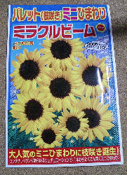 これを植えました