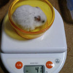 アイは体重変わらず