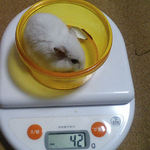 アイは少し体重増加です。