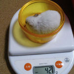 アイは、体重変わらず