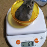 コーキは先週より、体重減少