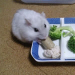 デカペレを食べるましろ