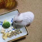 ブロッコリーを食べるアイ