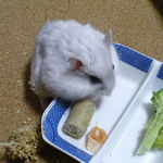 指の跡がついていました