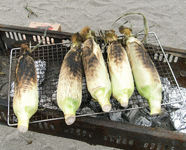 とうもろこしは皮ごと焼くのがみそ