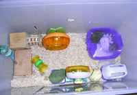 コーキとましろの衣装ケースケージ