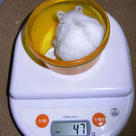 ましろは体重増加です。