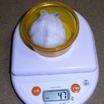 体重は減っていました