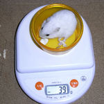 アイは先週から体重変わらず