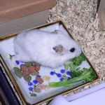 ブロッコリーに食いつくアイ