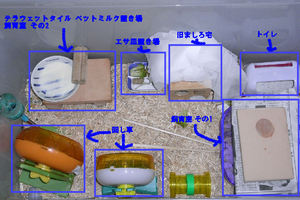 ましろの衣装ケースケージ