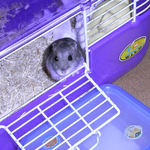 外の様子をうかがってるコーキ