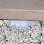 お休み中のアイ