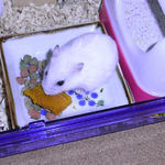 かぼちゃを食べるアイ