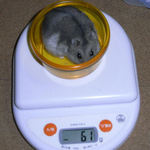 コーキは体重変わらず