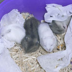 みんなでお休み中