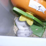 休憩中のましろ