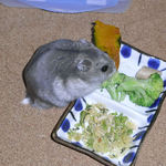 ブロッコリーを食べるコーキ