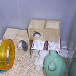 寝室がいっぱい