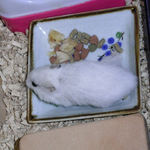 小松菜を食べているアイ