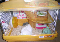 コー太のケージ