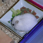 ミックスベジタブルを食べるアイ