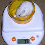 アイは体重が少し増えました