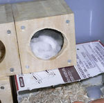 寝ているパールとブルサファ