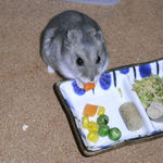 にんじんを食べるコーキ