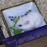 ブロッコリーを食べるアイ