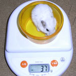 アイは体重が増えました